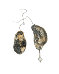 a pair of oyster shell earrings on a black background