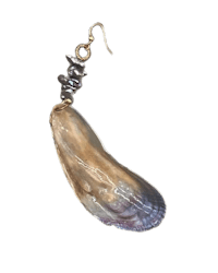 a pair of earrings with a shell on them